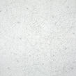 DANS LA CLARTÉ, mine de plomb et encre sur papier, 200*200 cm, 2004