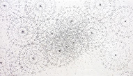Projet pour mural , «PAR LE MILIEU», mine de plomb et encre sur papier, 33,5*59,5 cm, 2010/2011