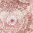 PROLIFÉRATION IV, acrylique, encre et crayons de couleurs sur papier, 30*28,5 cm, 2012