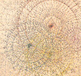 MJD, crayons de couleurs sur papier, 30*28,5 cm, 2010