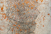 VITA NOVA, fragment, mine de plomb, encre sur papier, 280*113cm, 2012