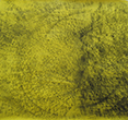 Contrappunti II acrylique et fusain sur papier, 114x122cm, 2013