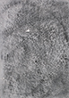 Second movement moderato VIII, acrylique et fusain sur papier, 70x100cm, 2014