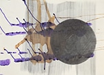 Geste transversal, 58x42,5cm, graphite sur papier, 2018