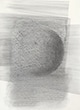 Les hirondelles salanganes, 58x42,5cm, graphite sur papier, 2018