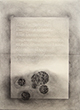 Elisabeth Bishop III, 59.4x42cm, graphite sur papier, 2015