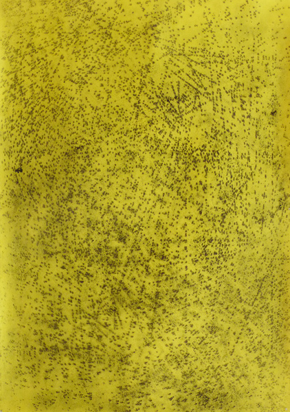 POZZUOLI ID, fusain et acrylique sur papier, 70*100 cm, 2012