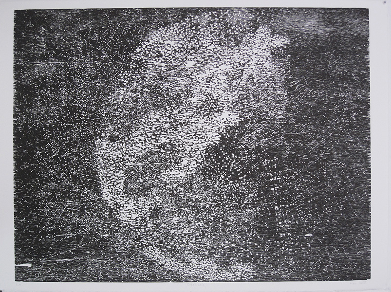 Occam, 53x63cm, gravure sur bois, 2013