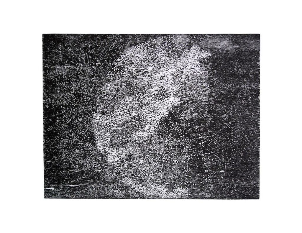 Occam, xylographie, 53x60cm, 2013