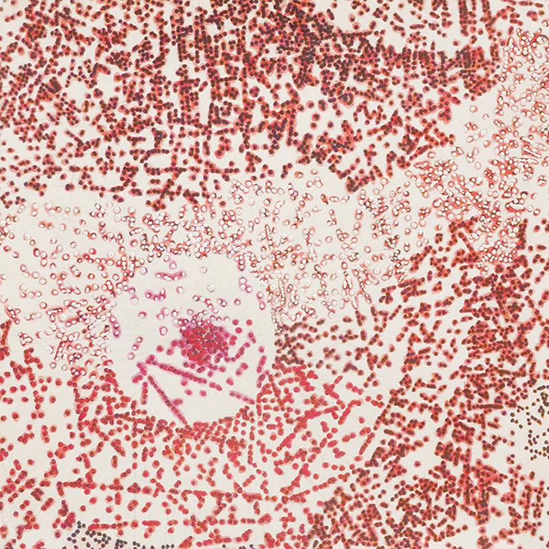 PROLIFÉRATION IV, acrylique, encre et crayons de couleurs sur papier, 30*28,5 cm, 2methode2, 2012