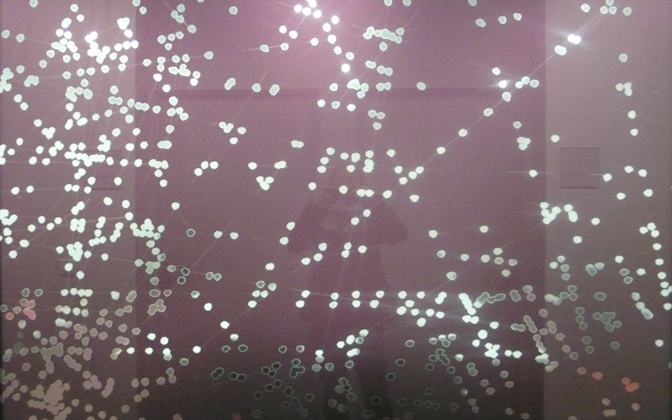 Marie Lepetit, commande, bureau de la Cité des Sciences, 460,5*200 cm, Paris, 2013