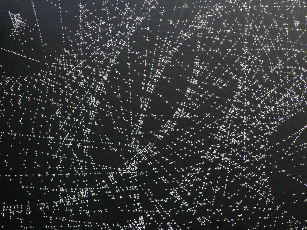 Marie Lepetit, Le retour des Lucioles, 300*330cm, Mur rue Saint-Martin, Paris, été 2010