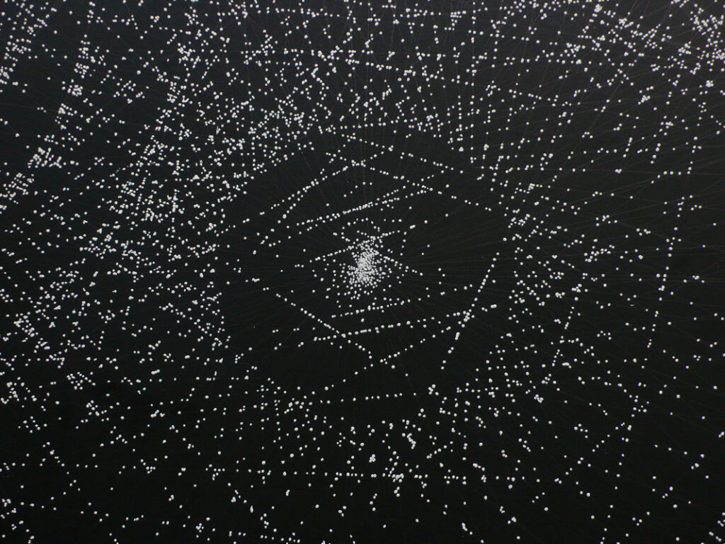 Marie Lepetit, Le retour des Lucioles, 300*330cm, Mur rue Saint-Martin, Paris, été 2010