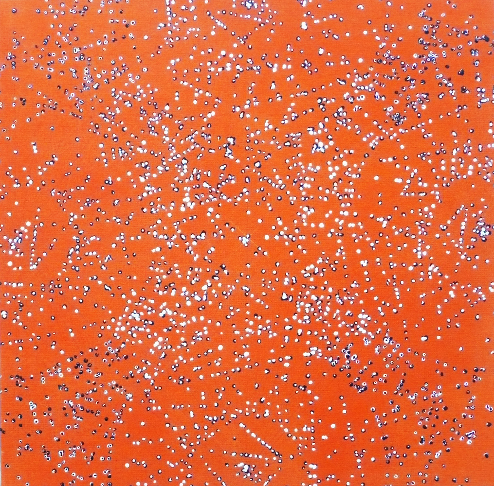 Variation du rouge III, mine de plomb et acrylique sur toile, 35x35 cm, 2009